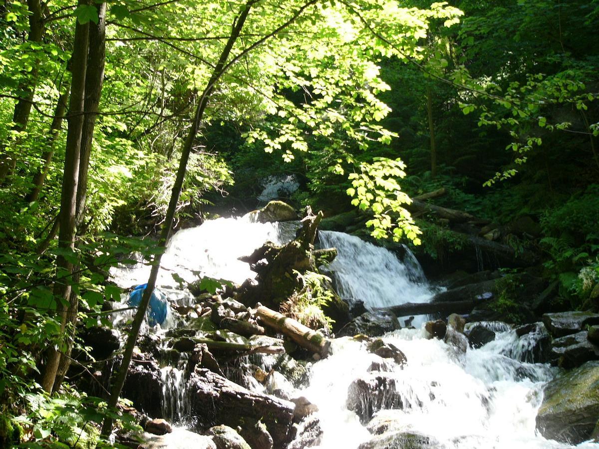 Camping Chalets Brunner Am See Vila Döbriach Exterior foto